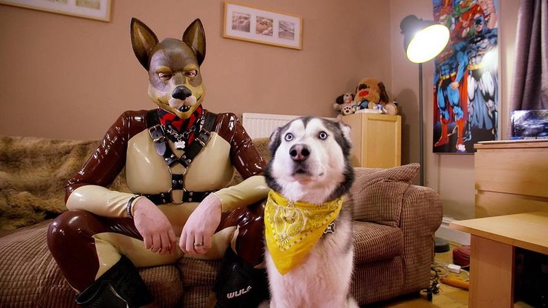 human pups, cilvēki - suņi