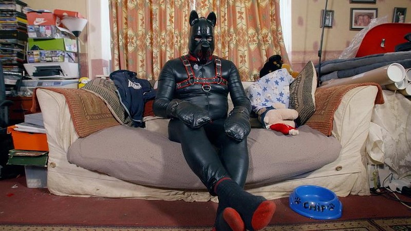 human pups, cilvēki - suņi