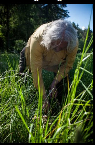 Kad atrasts spēka vietas centrs, Andris Špats tajā no skaliņiem iededz mazu simbolisku ugunskuru